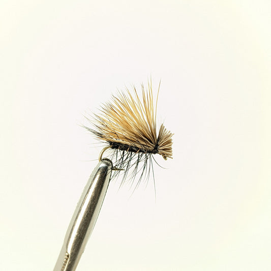 Elk Hair Caddis Black  Fly fishing fly. Dry, subsurface and nymph flies for anglers and fisherman. All the flies you need for sale online. Flies to buy online. Online fly fishing supplies. Catch fish with flies from Frontier Flies.