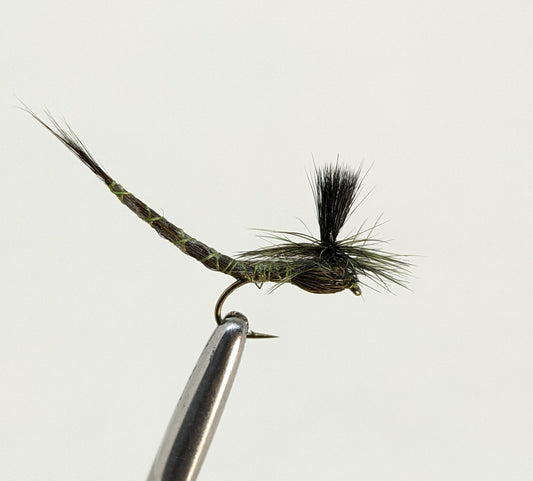 Green Drake Extended Body  Fly fishing fly. Dry, subsurface and nymph flies for anglers and fisherman. All the flies you need for sale online. Flies to buy online. Online fly fishing supplies. Catch fish with flies from Frontier Flies.