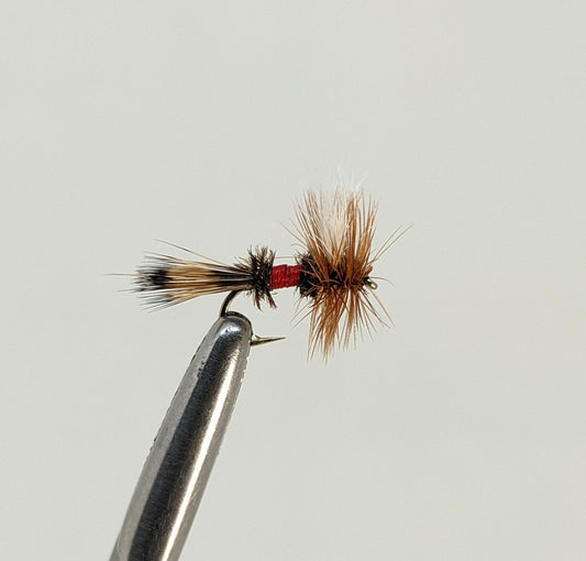 Royal Wulff Fly fishing fly. Dry, subsurface and nymph flies for anglers and fisherman. All the flies you need for sale online. Flies to buy online. Online fly fishing supplies. Catch fish with flies from Frontier Flies.