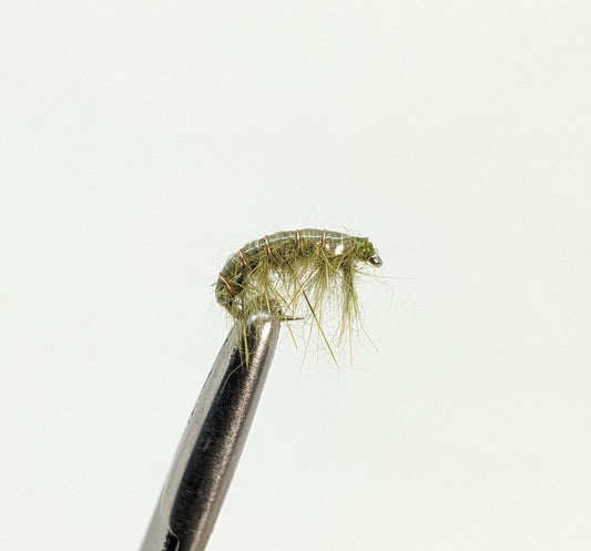 Scud Olive Fly fishing fly. Dry, subsurface and nymph flies for anglers and fisherman. All the flies you need for sale online. Flies to buy online. Online fly fishing supplies. Catch fish with flies from Frontier Flies.