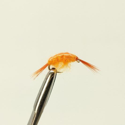 Scud Orange Fly fishing fly. Dry, subsurface and nymph flies for anglers and fisherman. All the flies you need for sale online. Flies to buy online. Online fly fishing supplies. Catch fish with flies from Frontier Flies.